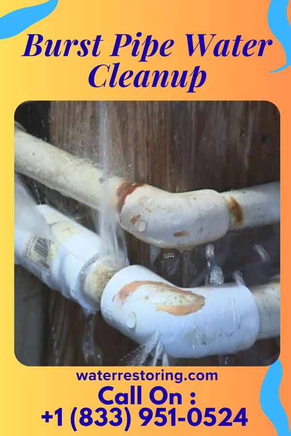 Burst Pipe Water Cleanup in Blackgum, OK
