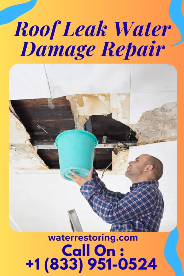 Roof Leak Water Damage Repair in Blackgum, OK