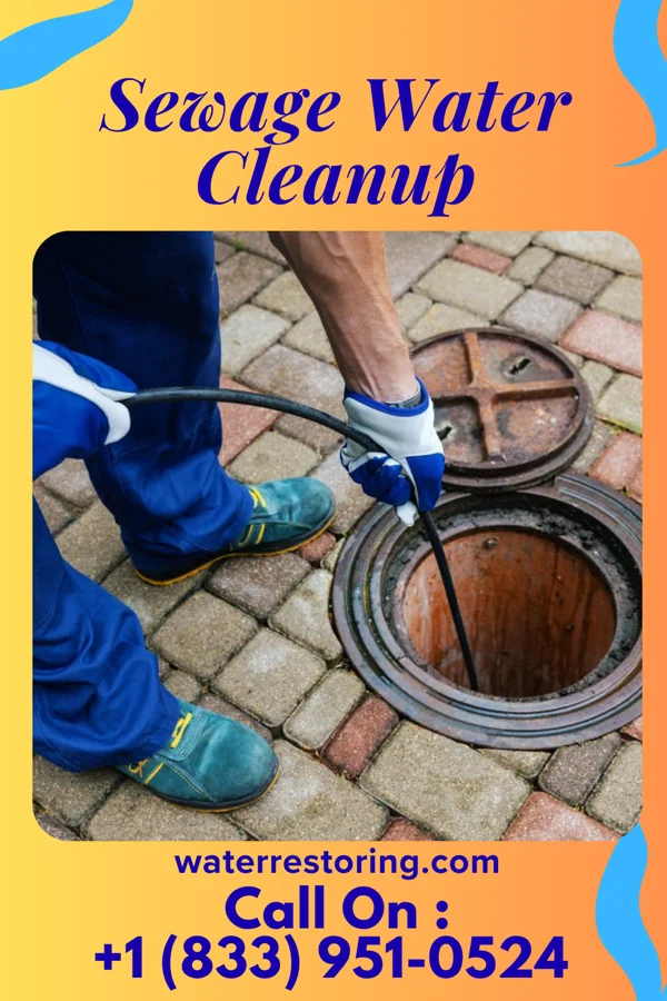 Sewage Water Cleanup in Blackgum, OK